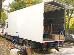 Iswell Single Triangle Mobile Mover Heavy Object Mover Furniture Mover Convenient Mover for Furniture Heavy Objects Home