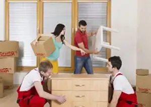 Polish moving companies