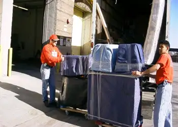 Removals to Portugal